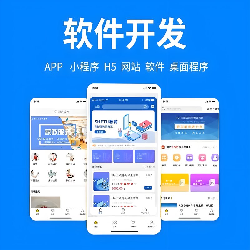 软件定制开发,为您的业务插上数字腾飞的翅膀
